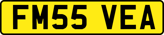 FM55VEA