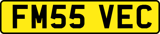 FM55VEC