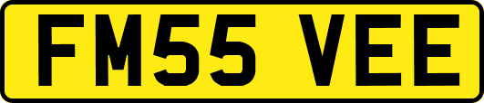 FM55VEE