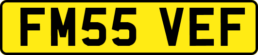FM55VEF