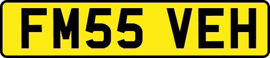 FM55VEH