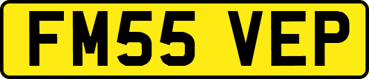 FM55VEP