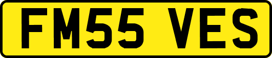 FM55VES