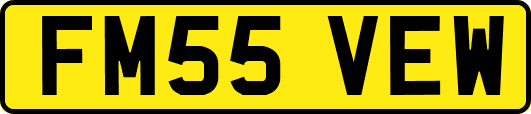 FM55VEW