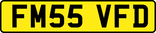 FM55VFD