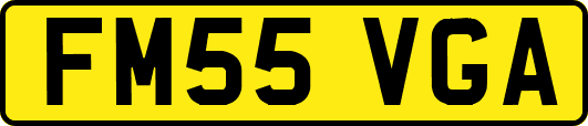 FM55VGA