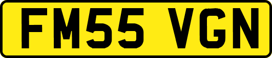 FM55VGN