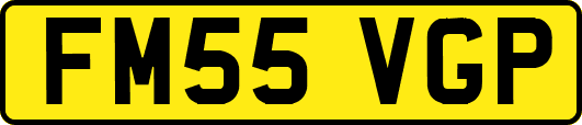 FM55VGP