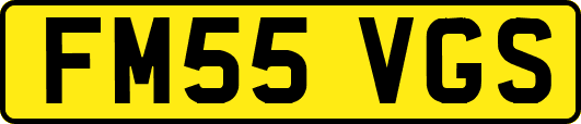 FM55VGS