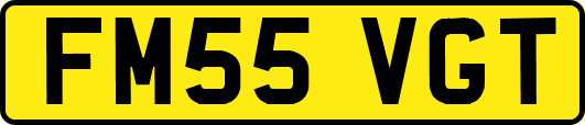 FM55VGT