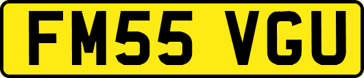 FM55VGU