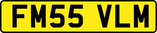 FM55VLM