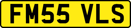 FM55VLS