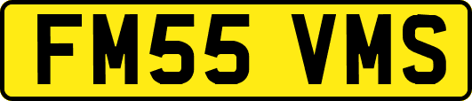 FM55VMS