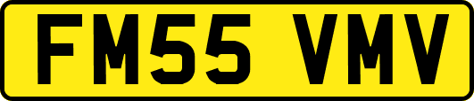 FM55VMV