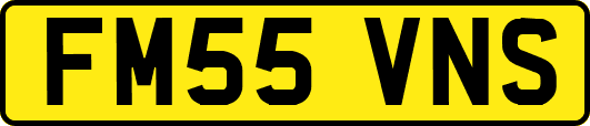 FM55VNS