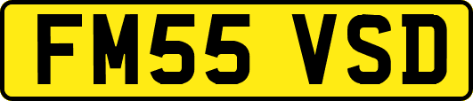 FM55VSD
