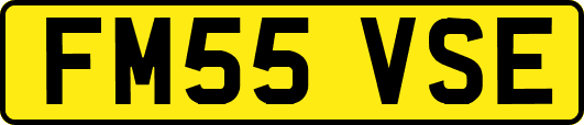 FM55VSE