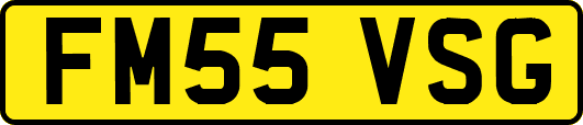 FM55VSG