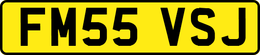 FM55VSJ