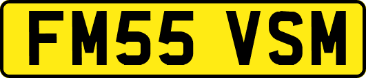 FM55VSM