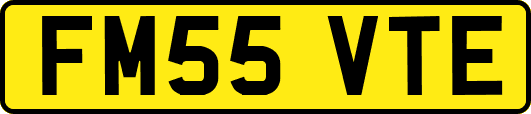 FM55VTE