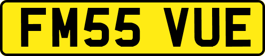 FM55VUE