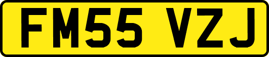 FM55VZJ