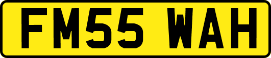 FM55WAH