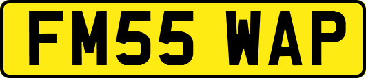 FM55WAP