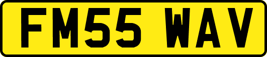 FM55WAV