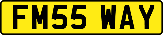FM55WAY