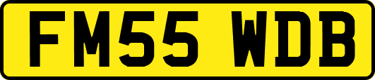 FM55WDB