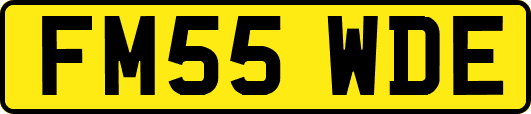 FM55WDE