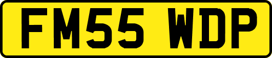 FM55WDP