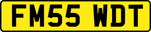 FM55WDT