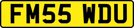 FM55WDU