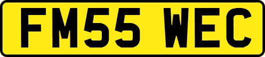 FM55WEC