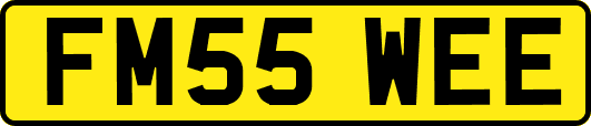 FM55WEE