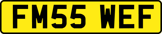 FM55WEF