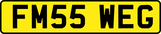 FM55WEG
