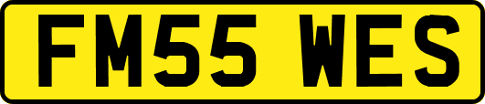 FM55WES