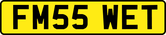 FM55WET