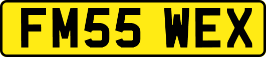 FM55WEX