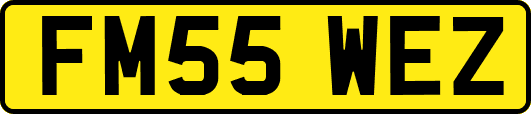 FM55WEZ
