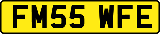 FM55WFE