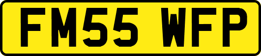 FM55WFP