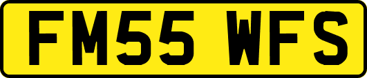 FM55WFS