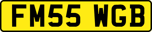FM55WGB