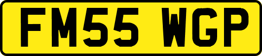 FM55WGP